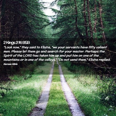 Picture 02 - 2 Kings 2:16 BSB - “Look now,” they said to Elisha, “we your - Bible Verse Picture