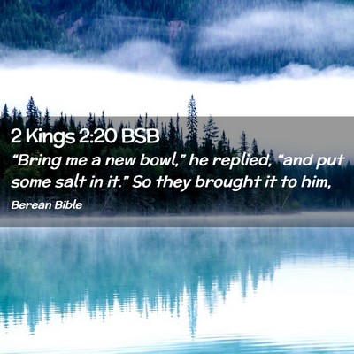Picture 02 - 2 Kings 2:20 BSB - “Bring me a new bowl,” he replied, “and put - Bible Verse Picture