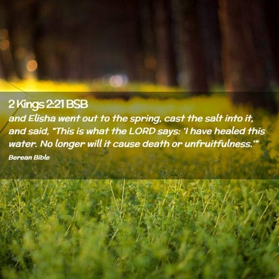 Picture 02 - 2 Kings 2:21 BSB - and Elisha went out to the spring, cast the salt - Bible Verse Picture