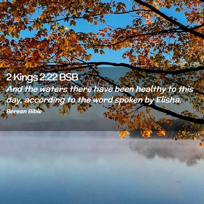 Picture 02 - 2 Kings 2:22 BSB - And the waters there have been healthy to this - Bible Verse Picture