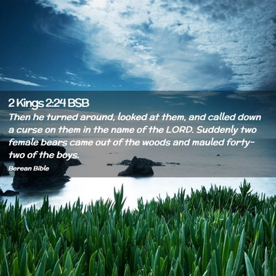 Picture 02 - 2 Kings 2:24 BSB - Then he turned around, looked at them, and called - Bible Verse Picture