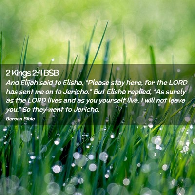 Picture 02 - 2 Kings 2:4 BSB - And Elijah said to Elisha, “Please stay here, - Bible Verse Picture