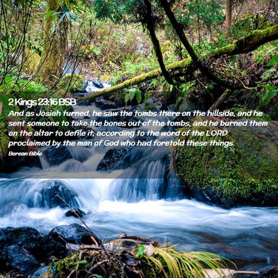 Picture 02 - 2 Kings 23:16 BSB - And as Josiah turned, he saw the tombs there on - Bible Verse Picture