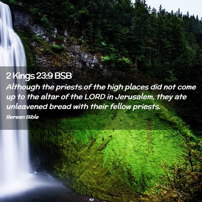 Picture 02 - 2 Kings 23:9 BSB - Although the priests of the high places did not - Bible Verse Picture