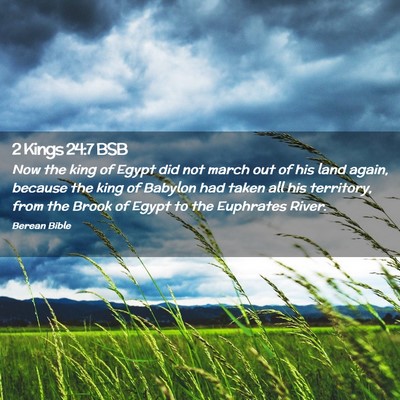 Picture 02 - 2 Kings 24:7 BSB - Now the king of Egypt did not march out of his - Bible Verse Picture