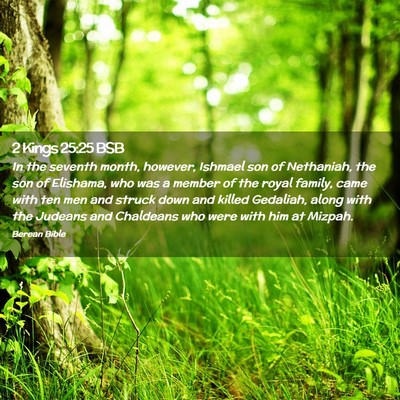 Picture 02 - 2 Kings 25:25 BSB - In the seventh month, however, Ishmael son of - Bible Verse Picture