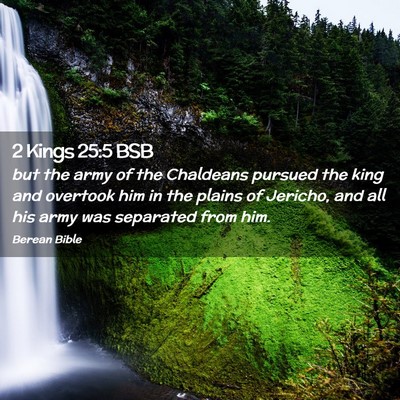 Picture 02 - 2 Kings 25:5 BSB - but the army of the Chaldeans pursued the king - Bible Verse Picture