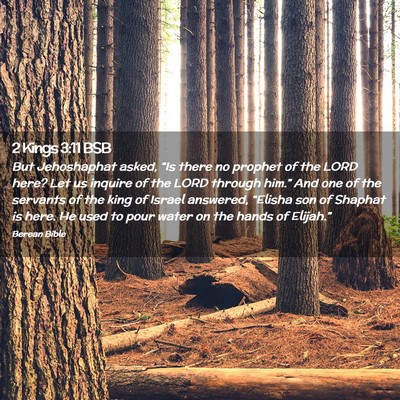 Picture 02 - 2 Kings 3:11 BSB - But Jehoshaphat asked, “Is there no prophet of - Bible Verse Picture
