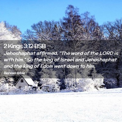 Picture 02 - 2 Kings 3:12 BSB - Jehoshaphat affirmed, “The word of the LORD is - Bible Verse Picture