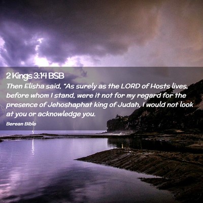 Picture 02 - 2 Kings 3:14 BSB - Then Elisha said, “As surely as the LORD of - Bible Verse Picture