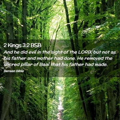 Picture 02 - 2 Kings 3:2 BSB - And he did evil in the sight of the LORD, but not - Bible Verse Picture
