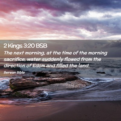 Picture 02 - 2 Kings 3:20 BSB - The next morning, at the time of the morning - Bible Verse Picture