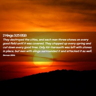 Picture 02 - 2 Kings 3:25 BSB - They destroyed the cities, and each man threw - Bible Verse Picture
