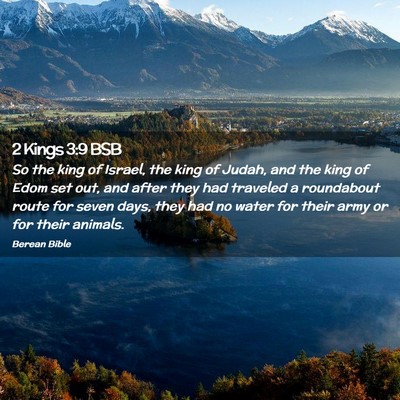 Picture 02 - 2 Kings 3:9 BSB - So the king of Israel, the king of Judah, and the - Bible Verse Picture
