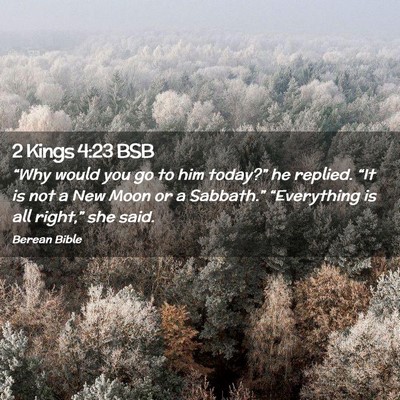 Picture 02 - 2 Kings 4:23 BSB - “Why would you go to him today?” he replied. - Bible Verse Picture