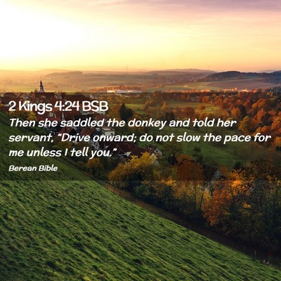 Picture 02 - 2 Kings 4:24 BSB - Then she saddled the donkey and told her servant, - Bible Verse Picture