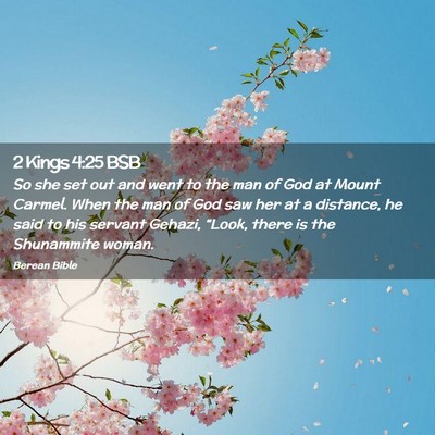 Picture 02 - 2 Kings 4:25 BSB - So she set out and went to the man of God at - Bible Verse Picture