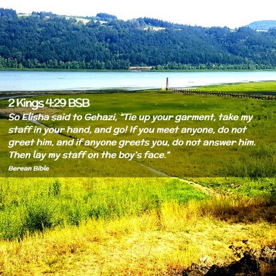 Picture 02 - 2 Kings 4:29 BSB - So Elisha said to Gehazi, “Tie up your garment, - Bible Verse Picture