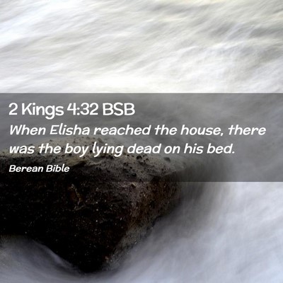 Picture 02 - 2 Kings 4:32 BSB - When Elisha reached the house, there was the boy - Bible Verse Picture