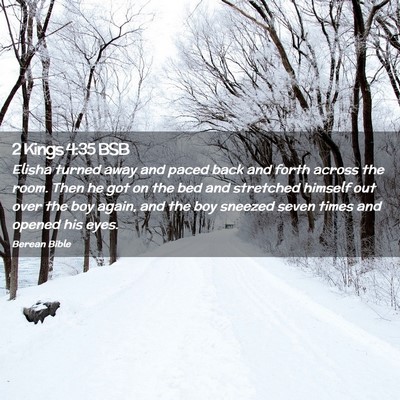 Picture 02 - 2 Kings 4:35 BSB - Elisha turned away and paced back and forth - Bible Verse Picture