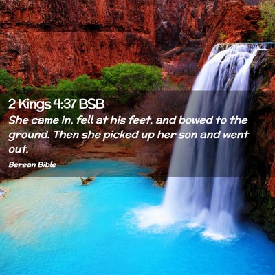 Picture 02 - 2 Kings 4:37 BSB - She came in, fell at his feet, and bowed to the - Bible Verse Picture