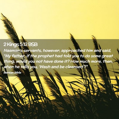 Picture 02 - 2 Kings 5:13 BSB - Naaman’s servants, however, approached him and - Bible Verse Picture