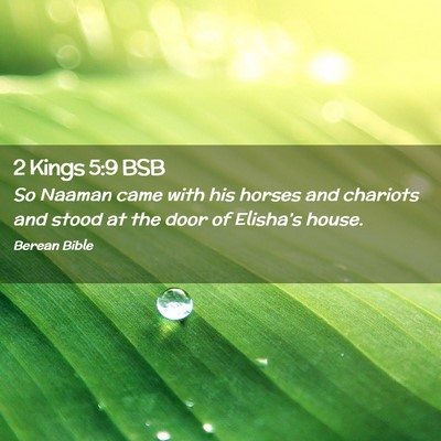 Picture 02 - 2 Kings 5:9 BSB - So Naaman came with his horses and chariots and - Bible Verse Picture