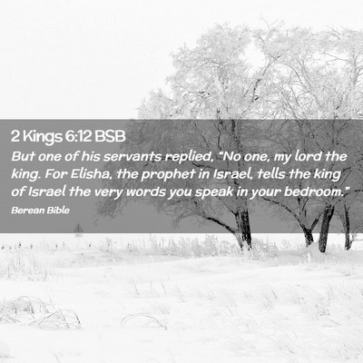 Picture 02 - 2 Kings 6:12 BSB - But one of his servants replied, “No one, my - Bible Verse Picture