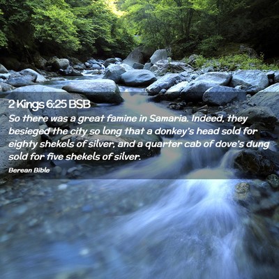 Picture 02 - 2 Kings 6:25 BSB - So there was a great famine in Samaria. Indeed, - Bible Verse Picture