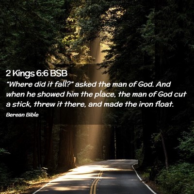 Picture 02 - 2 Kings 6:6 BSB - “Where did it fall?” asked the man of God. - Bible Verse Picture