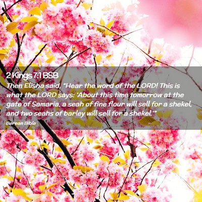 Picture 02 - 2 Kings 7:1 BSB - Then Elisha said, “Hear the word of the LORD! - Bible Verse Picture