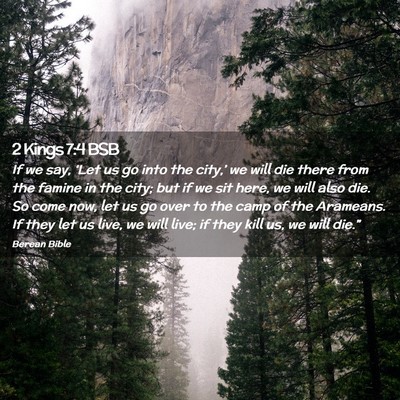Picture 02 - 2 Kings 7:4 BSB - If we say, ‘Let us go into the city,’ we will - Bible Verse Picture