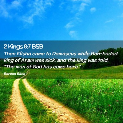 Picture 02 - 2 Kings 8:7 BSB - Then Elisha came to Damascus while Ben-hadad king - Bible Verse Picture