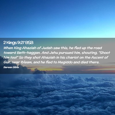 Picture 02 - 2 Kings 9:27 BSB - When King Ahaziah of Judah saw this, he fled up - Bible Verse Picture