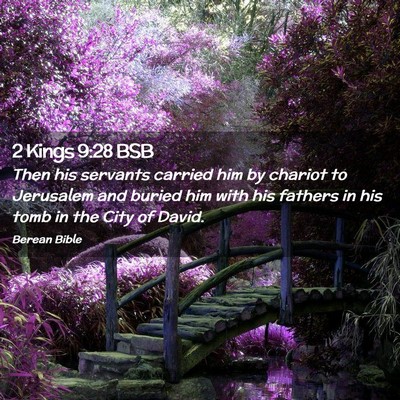 Picture 02 - 2 Kings 9:28 BSB - Then his servants carried him by chariot to - Bible Verse Picture