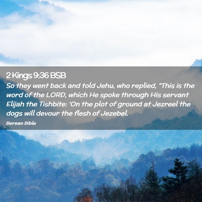 Picture 02 - 2 Kings 9:36 BSB - So they went back and told Jehu, who replied, - Bible Verse Picture