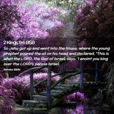 Picture 02 - 2 Kings 9:6 BSB - So Jehu got up and went into the house, where the - Bible Verse Picture