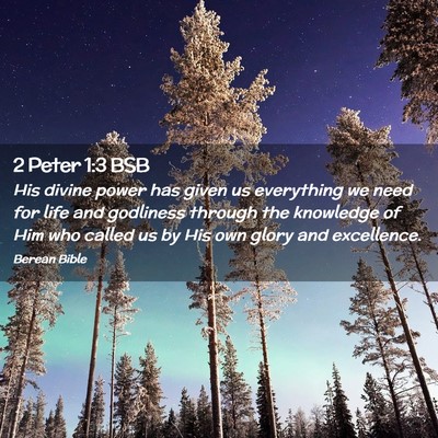 Picture 02 - 2 Peter 1:3 BSB - His divine power has given us everything we need - Bible Verse Picture