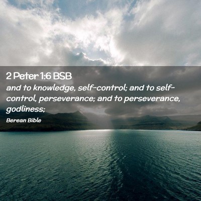 Picture 02 - 2 Peter 1:6 BSB - and to knowledge, self-control; and to - Bible Verse Picture