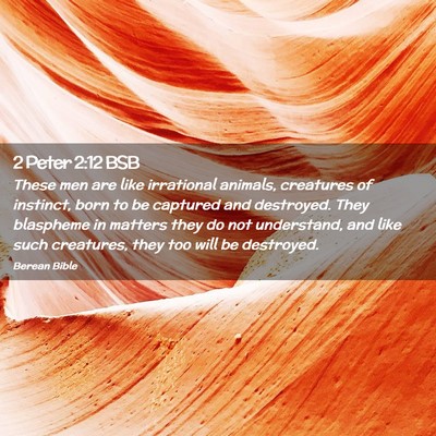 Picture 02 - 2 Peter 2:12 BSB - These men are like irrational animals, creatures - Bible Verse Picture