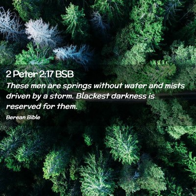 Picture 02 - 2 Peter 2:17 BSB - These men are springs without water and mists - Bible Verse Picture