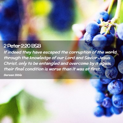 Picture 02 - 2 Peter 2:20 BSB - If indeed they have escaped the corruption of the - Bible Verse Picture