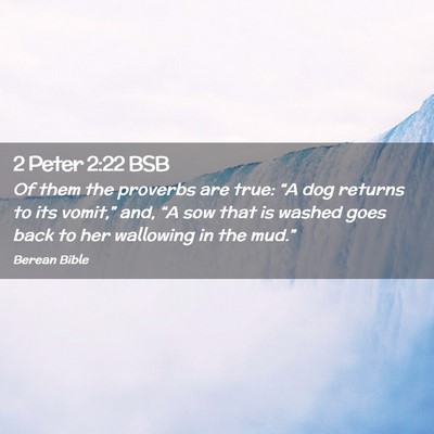 Picture 02 - 2 Peter 2:22 BSB - Of them the proverbs are true: “A dog returns - Bible Verse Picture