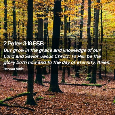 Picture 02 - 2 Peter 3:18 BSB - But grow in the grace and knowledge of our Lord - Bible Verse Picture