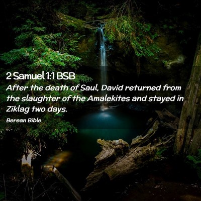 Picture 02 - 2 Samuel 1:1 BSB - After the death of Saul, David returned from the - Bible Verse Picture