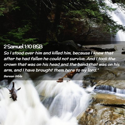 Picture 02 - 2 Samuel 1:10 BSB - So I stood over him and killed him, because I - Bible Verse Picture