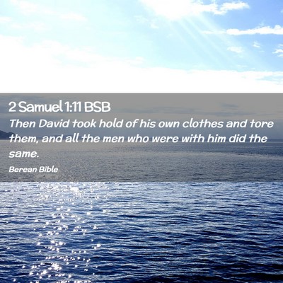 Picture 02 - 2 Samuel 1:11 BSB - Then David took hold of his own clothes and tore - Bible Verse Picture