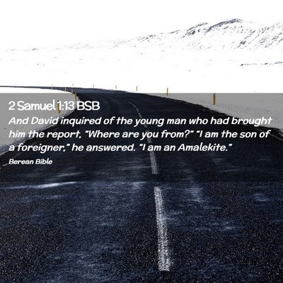 Picture 02 - 2 Samuel 1:13 BSB - And David inquired of the young man who had - Bible Verse Picture