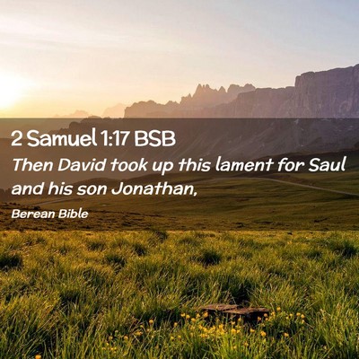 Picture 02 - 2 Samuel 1:17 BSB - Then David took up this lament for Saul and his - Bible Verse Picture