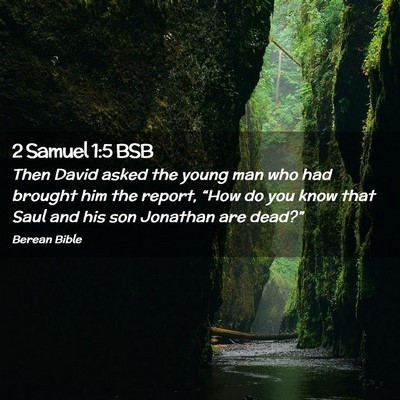 Picture 02 - 2 Samuel 1:5 BSB - Then David asked the young man who had brought - Bible Verse Picture